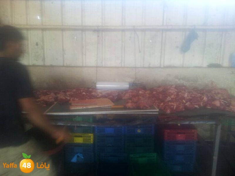 noor jam3iya j (2).JPG